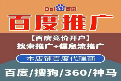 某电商平台的SEM策略与效果展示